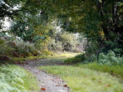 Cliquez pour découvrir toutes les photos de l'ÉTABLISSEMENT ! établissement De La Vertonne photo 19