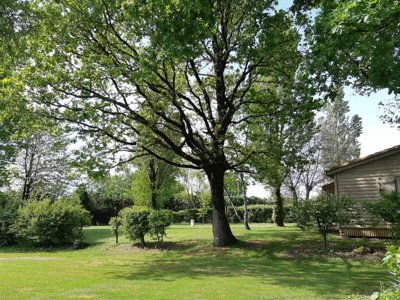 Cliquez pour découvrir toutes les photos de l'ÉTABLISSEMENT ! établissement De La Vertonne photo 2