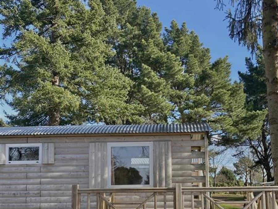 Camping Pas Cher vous présente avec son site Officiel campingpascher.fr, le Camping L'Hermitage classé 3 étoiles, situé sur la commune de Guemene Penfao dans le département Loire-atlantique (Pays De La Loire) en France. Le camping L'Hermitage, vous présente un hébergement de type hébergement insolite de 17 m² pour 2 personnes. Le camping L'Hermitage vous propose du vendredi 18 septembre au vendredi 25 septembre 2026 pour 7 nuits à 283€. Cette location propose 70 dates différentes pour réserver votre séjour. Découvrez également les 14 autres gammes d'hébergements du camping. Les Avis clients pour le Camping L'Hermitage sont excellents avec une note moyenne de 8 sur 10. Piscine couverte, Piscine extérieure, Animations familiales, Club enfants, Aire de jeux enfants, Baby-foot, Canoë-kayak, Centre équestre, Court de tennis, Ping-pong, Pétanque, Randonnée, Terrain multisports, Bar, Boulangerie, Pizzeria, Plats à emporter, Restaurant, Snack/Bar, Épicerie,... En savoir plus : cliquez-ICI.