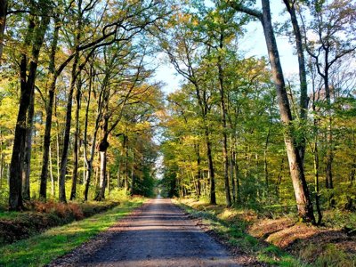 Cliquez pour découvrir toutes les photos de l'ÉTABLISSEMENT ! camping L'Hermitage photo 27