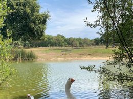 Camping Pas Cher vous présente avec son site Officiel campingpascher.fr, le Camping L'Etang Du Pays Blanc classé 3 étoiles, situé sur la commune de Guerande dans le département Loire-atlantique (Pays De La Loire) en France. Le camping L'Etang Du Pays Blanc, vous présente un hébergement de type hébergement insolite de 16 m² pour 4 personnes. Le camping L'Etang Du Pays Blanc vous propose du sam. 27 juin au sam. 04 juillet 2026, en promotion à -15% pour 7 nuits à 225,14 € au lieu de 268,0 € soit une Économie de 42,86 €. Cette location propose 35 dates différentes pour réserver votre séjour. Découvrez également les 40 autres gammes d'hébergements du camping. Les Avis clients pour le Camping L'Etang Du Pays Blanc sont excellents avec une note moyenne de 8 sur 10. Piscine chauffée, Piscine couverte, Animations familiales, Club enfants, Aire de jeux enfants, Aire de jeux intérieure, Canoë-kayak, Centre équestre, Court de tennis, Ping-pong, Pétanque, Salle de fitness, Structure gonflable enfants, Terrain de football, Terrain multisports, Trampoline, Bar, Dépôt de pain, Plats à emporter, Snack/Bar, Supermarché, Épicerie,... En savoir plus : cliquez-ICI.