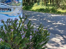 Camping Pas Cher vous présente avec son site Officiel campingpascher.fr, le Camping L'Etang Du Pays Blanc classé 3 étoiles, situé sur la commune de Guerande dans le département Loire-atlantique (Pays De La Loire) en France. Le camping L'Etang Du Pays Blanc, vous présente un hébergement de type mobil-home de 24 m² pour 4 personnes. Le camping L'Etang Du Pays Blanc vous propose du sam. 27 juin au sam. 04 juillet 2026, en promotion à -15% pour 7 nuits à 225,14 € au lieu de 268,0 € soit une Économie de 42,86 €. Cette location propose 71 dates différentes pour réserver votre séjour. Découvrez également les 40 autres gammes d'hébergements du camping. Les Avis clients pour le Camping L'Etang Du Pays Blanc sont excellents avec une note moyenne de 8 sur 10. Piscine chauffée, Piscine couverte, Animations familiales, Club enfants, Aire de jeux enfants, Aire de jeux intérieure, Canoë-kayak, Centre équestre, Court de tennis, Ping-pong, Pétanque, Salle de fitness, Structure gonflable enfants, Terrain de football, Terrain multisports, Trampoline, Bar, Dépôt de pain, Plats à emporter, Snack/Bar, Supermarché, Épicerie,... En savoir plus : cliquez-ICI.