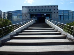 Camping Pas Cher vous présente avec son site Officiel campingpascher.fr, le Camping L'Etang Du Pays Blanc classé 3 étoiles, situé sur la commune de Guerande dans le département Loire-atlantique (Pays De La Loire) en France. Le camping L'Etang Du Pays Blanc, vous présente un hébergement de type hébergement insolite de 16 m² pour 2 personnes. Le camping L'Etang Du Pays Blanc vous propose du sam. 27 juin au sam. 04 juillet 2026, en promotion à -15% pour 7 nuits à 183,71 € au lieu de 218,0 € soit une Économie de 34,29 €. Cette location propose 39 dates différentes pour réserver votre séjour. Découvrez également les 40 autres gammes d'hébergements du camping. Les Avis clients pour le Camping L'Etang Du Pays Blanc sont excellents avec une note moyenne de 8 sur 10. Piscine chauffée, Piscine couverte, Animations familiales, Club enfants, Aire de jeux enfants, Aire de jeux intérieure, Canoë-kayak, Centre équestre, Court de tennis, Ping-pong, Pétanque, Salle de fitness, Structure gonflable enfants, Terrain de football, Terrain multisports, Trampoline, Bar, Dépôt de pain, Plats à emporter, Snack/Bar, Supermarché, Épicerie,... En savoir plus : cliquez-ICI.