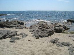 Camping Pas Cher vous présente avec son site Officiel campingpascher.fr, le Camping L'Etang Du Pays Blanc classé 3 étoiles, situé sur la commune de Guerande dans le département Loire-atlantique (Pays De La Loire) en France. Le camping L'Etang Du Pays Blanc, vous présente un hébergement de type hébergement insolite de 37 m². Le camping L'Etang Du Pays Blanc vous propose du sam. 27 juin au sam. 04 juillet 2026, en promotion à -15% pour 7 nuits à 225,14 € au lieu de 268,0 € soit une Économie de 42,86 €. Cette location propose 51 dates différentes pour réserver votre séjour. Découvrez également les 40 autres gammes d'hébergements du camping. Les Avis clients pour le Camping L'Etang Du Pays Blanc sont excellents avec une note moyenne de 8 sur 10. Piscine chauffée, Piscine couverte, Animations familiales, Club enfants, Aire de jeux enfants, Aire de jeux intérieure, Canoë-kayak, Centre équestre, Court de tennis, Ping-pong, Pétanque, Salle de fitness, Structure gonflable enfants, Terrain de football, Terrain multisports, Trampoline, Bar, Dépôt de pain, Plats à emporter, Snack/Bar, Supermarché, Épicerie,... En savoir plus : cliquez-ICI.