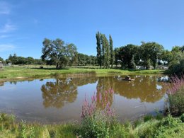 Camping Pas Cher vous présente avec son site Officiel campingpascher.fr, le Camping L'Etang Du Pays Blanc classé 3 étoiles, situé sur la commune de Guerande dans le département Loire-atlantique (Pays De La Loire) en France. Le camping L'Etang Du Pays Blanc, vous présente un hébergement de type hébergement insolite de 34 m² pour 4 personnes. Le camping L'Etang Du Pays Blanc vous propose du sam. 27 juin au sam. 04 juillet 2026, en promotion à -15% pour 7 nuits à 225,14 € au lieu de 268,0 € soit une Économie de 42,86 €. Cette location propose 47 dates différentes pour réserver votre séjour. Découvrez également les 40 autres gammes d'hébergements du camping. Les Avis clients pour le Camping L'Etang Du Pays Blanc sont excellents avec une note moyenne de 8 sur 10. Piscine chauffée, Piscine couverte, Animations familiales, Club enfants, Aire de jeux enfants, Aire de jeux intérieure, Canoë-kayak, Centre équestre, Court de tennis, Ping-pong, Pétanque, Salle de fitness, Structure gonflable enfants, Terrain de football, Terrain multisports, Trampoline, Bar, Dépôt de pain, Plats à emporter, Snack/Bar, Supermarché, Épicerie,... En savoir plus : cliquez-ICI.