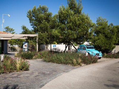 camping Ile Aux Oiseaux photo 8