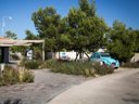 camping Ile Aux Oiseaux photo 8