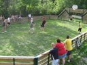 Cliquez pour découvrir toutes les photos de l'ÉTABLISSEMENT ! camping Saint James Les Pins photo 8