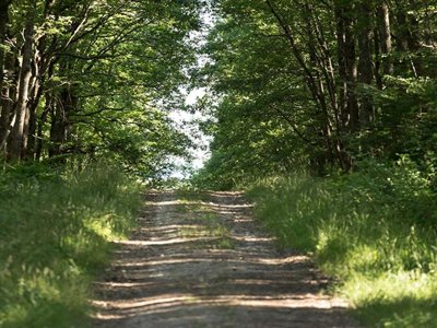 Cliquez pour découvrir toutes les photos de l'ÉTABLISSEMENT ! camping Les Ecossais photo 11