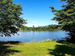 Camping Pas Cher vous présente avec son site Officiel campingpascher.fr, le Camping Les Ecossais classé 2 étoiles, situé sur la commune de Isle Et Bardais dans le département Allier (Auvergne) en France. Le camping Les Ecossais, vous présente un hébergement de type chalet pour 4 personnes. Le camping Les Ecossais vous propose du sam. 06 juin au sam. 13 juin 2026 pour 7 nuits à 212€. Cette location propose 18 dates différentes pour réserver votre séjour. Découvrez également les 5 autres gammes d'hébergements du camping. Les Avis clients pour le Camping Les Ecossais sont excellents avec une note moyenne de 8 sur 10. Étang, Aire de jeux enfants, Baby-foot, Court de tennis, Cyclisme, Ping-pong, Piscine, Pétanque, Randonnée, Salle de jeux vidéo, Bar, Dépôt de pain, Supermarché,... En savoir plus : cliquez-ICI.