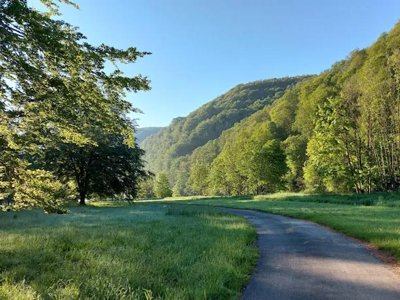 Cliquez pour découvrir toutes les photos de l'ÉTABLISSEMENT ! camping Domaine D'Haulmé photo 28