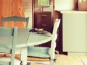 Cliquez pour découvrir toutes les photos de l'HÉBERGEMENT ! mini-maison - camping Domaine D'Haulmé photo 7