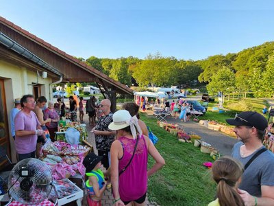 camping Du Bois De Reveuge photo 16
