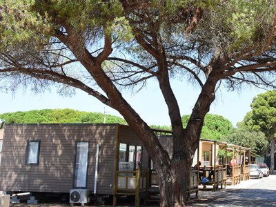 Cliquez pour découvrir toutes les photos de l'ÉTABLISSEMENT ! établissement Tikayan Le Méditerranée photo 16