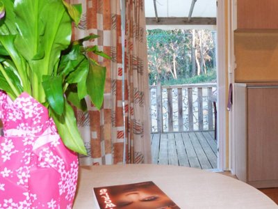 Cliquez pour découvrir toutes les photos de l'HÉBERGEMENT ! mobil-home - Tikayan Le Méditerranée photo 3