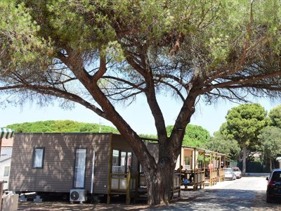 Cliquez pour découvrir toutes les photos de l'ÉTABLISSEMENT ! établissement Tikayan Le Méditerranée photo 4