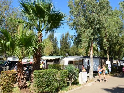 Cliquez pour découvrir toutes les photos de l'ÉTABLISSEMENT ! camping Tikayan Les Palmiers photo 28