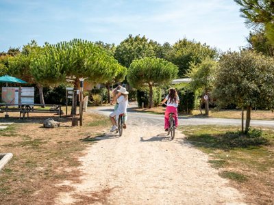 Cliquez pour découvrir toutes les photos de l'ÉTABLISSEMENT ! établissement Au Petit Port De L'Houmeau photo 12
