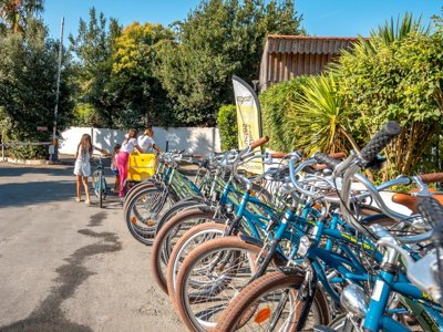 Cliquez pour découvrir toutes les photos de l'ÉTABLISSEMENT ! établissement Au Petit Port De L'Houmeau photo 19