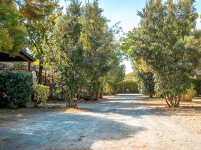 Cliquez pour découvrir toutes les photos de l'ÉTABLISSEMENT ! établissement Au Petit Port De L'Houmeau photo 25