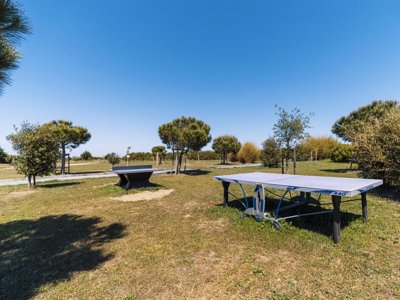 Cliquez pour découvrir toutes les photos de l'ÉTABLISSEMENT ! établissement Au Petit Port De L'Houmeau photo 9
