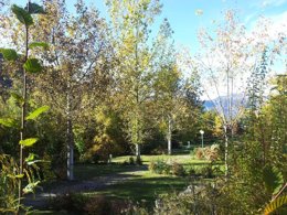 Camping Pas Cher vous présente avec son site Officiel campingpascher.fr, le Camping La Pierre De L'Aigle classé 3 étoiles, situé sur la commune de La Breole dans le département Alpes-de-haute-provence (Provence Alpes Côte D'azur) en France. Le camping La Pierre De L'Aigle, vous présente un hébergement de type chalet de 35 m² pour 6 personnes et télévision. Le camping La Pierre De L'Aigle vous propose du vendredi 01 mai au vendredi 08 mai 2026 pour 7 nuits à 605€. Cette location propose 105 dates différentes pour réserver votre séjour. Découvrez également les 9 autres gammes d'hébergements du camping. Les Avis clients pour le Camping La Pierre De L'Aigle sont excellents avec une note moyenne de 8 sur 10. LacRivière, Piscine chauffée, Piscine extérieure, Animations familiales, Aire de jeux enfants, Baby-foot, Canoë-kayak, Canyoning, Centre équestre, Cyclisme, Location de bateaux, Paddle, Ping-pong, Piscine, Pédalo, Pétanque, Rafting, Randonnée, Ski nautique, Terrain de football, Pizzeria, Restaurant,... En savoir plus : cliquez-ICI.