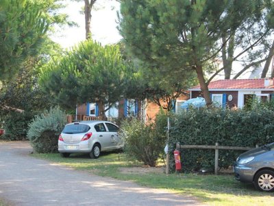 Cliquez pour découvrir toutes les photos de l'ÉTABLISSEMENT ! camping Le Bosquet photo 6