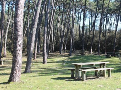 Cliquez pour découvrir toutes les photos de l'ÉTABLISSEMENT ! camping Le Bosquet photo 9