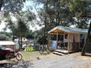 Camping Pas Cher vous présente avec son site Officiel campingpascher.fr, le Camping Le Bosquet classé 2 étoiles, situé sur la commune de Jard Sur Mer dans le département Vendée (Pays De La Loire) en France. Le camping Le Bosquet, vous présente un hébergement de type tente en toile et bois de 19 m² pour 2 personnes. Le camping Le Bosquet vous propose du sam. 04 avril au sam. 11 avril 2026 pour 7 nuits à 175€. Cette location propose 89 dates différentes pour réserver votre séjour. Découvrez également les 3 autres gammes d'hébergements du camping. Les Avis clients pour le Camping Le Bosquet sont excellents avec une note moyenne de 8 sur 10. Mer, Aire de jeux enfants, Centre équestre, Cyclisme, Golf, Surf, Dépôt de pain, Supermarché,... En savoir plus : cliquez-ICI.