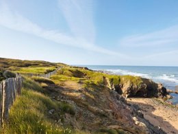 Camping Pas Cher vous présente avec son site Officiel campingpascher.fr, le Camping Le Bosquet classé 2 étoiles, situé sur la commune de Jard Sur Mer dans le département Vendée (Pays De La Loire) en France. Le camping Le Bosquet, vous présente un hébergement de type tente en toile et bois de 19 m² pour 2 personnes. Le camping Le Bosquet vous propose du sam. 04 avril au sam. 11 avril 2026 pour 7 nuits à 175€. Cette location propose 89 dates différentes pour réserver votre séjour. Découvrez également les 3 autres gammes d'hébergements du camping. Les Avis clients pour le Camping Le Bosquet sont excellents avec une note moyenne de 8 sur 10. Mer, Aire de jeux enfants, Centre équestre, Cyclisme, Golf, Surf, Dépôt de pain, Supermarché,... En savoir plus : cliquez-ICI.