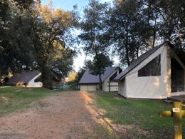 Camping Pas Cher vous présente avec son site Officiel campingpascher.fr, le Camping Le Bosquet classé 2 étoiles, situé sur la commune de Jard Sur Mer dans le département Vendée (Pays De La Loire) en France. Le camping Le Bosquet, vous présente un hébergement de type mobil-home de 26 m² et télévision. Le camping Le Bosquet vous propose du sam. 04 avril au sam. 11 avril 2026 pour 7 nuits à 217€. Cette location propose 73 dates différentes pour réserver votre séjour. Découvrez également les 3 autres gammes d'hébergements du camping. Les Avis clients pour le Camping Le Bosquet sont excellents avec une note moyenne de 8 sur 10. Mer, Aire de jeux enfants, Centre équestre, Cyclisme, Golf, Surf, Dépôt de pain, Supermarché,... En savoir plus : cliquez-ICI.