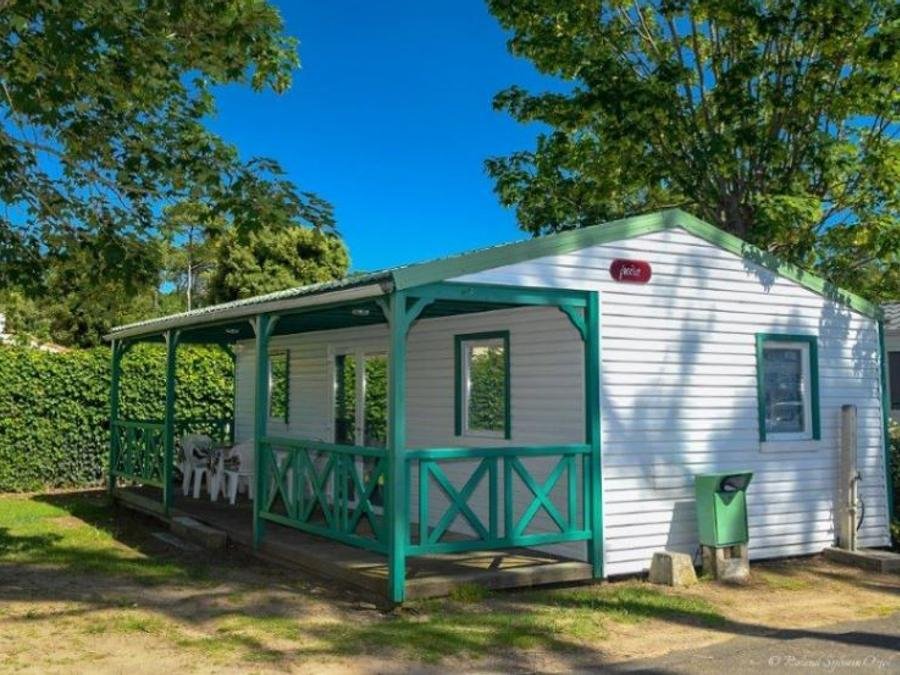 Camping Pas Cher vous présente avec son site Officiel campingpascher.fr, le Camping Paradis - La Pomme De Pin classé 4 étoiles, situé sur la commune de Jard Sur Mer dans le département Vendée (Pays De La Loire) en France. Le camping Paradis - La Pomme De Pin vous propose un hébergement de type chalet de 35 m² pour 2 personnes (télévision). L'établissement vous propose 13 autres types d'hébergements. Découvrez tous nos séjours à petits prix dans la commune et aux alentours de Jard Sur Mer du département : Vendée (Pays De La Loire). Les Avis clients pour le Camping Paradis - La Pomme De Pin sont excellents avec une note moyenne de 8 sur 10. Mer, Piscine couverte, Piscine extérieure, Animations familiales, Club enfants, Aire de jeux enfants, Baby-foot, Canoë-kayak, Centre équestre, Cyclisme, Flipper, Golf, Ping-pong, Piscine, Plongée, Pétanque, Randonnée, Salle de jeux vidéo, Surf, Terrain multisports, Bar, Brasserie, Créperie, Dépôt de pain, Plats à emporter, Supermarché, Épicerie,... En savoir plus : cliquez-ICI.
