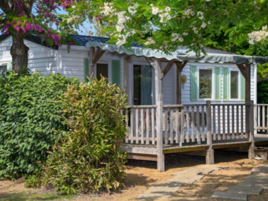 Camping Pas Cher vous présente avec son site Officiel campingpascher.fr, le Camping Paradis - La Pomme De Pin classé 4 étoiles, situé sur la commune de Jard Sur Mer dans le département Vendée (Pays De La Loire) en France. Le camping Paradis - La Pomme De Pin, vous présente un hébergement de type mobil-home de 27 m². Le camping Paradis - La Pomme De Pin vous propose du sam. 27 juin au sam. 04 juillet 2026, en promotion à -25% pour 7 nuits à 249 € au lieu de 334,0 € soit une Économie de 85 €. Cette location propose 12 dates différentes pour réserver votre séjour. Découvrez également les 13 autres gammes d'hébergements du camping. Les Avis clients pour le Camping Paradis - La Pomme De Pin sont excellents avec une note moyenne de 8 sur 10. Mer, Piscine couverte, Piscine extérieure, Animations familiales, Club enfants, Aire de jeux enfants, Baby-foot, Canoë-kayak, Centre équestre, Cyclisme, Flipper, Golf, Ping-pong, Piscine, Plongée, Pétanque, Randonnée, Salle de jeux vidéo, Surf, Terrain multisports, Bar, Brasserie, Créperie, Dépôt de pain, Plats à emporter, Supermarché, Épicerie,... En savoir plus : cliquez-ICI.