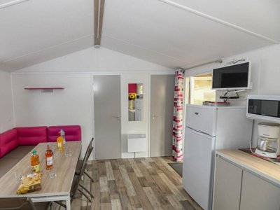 mobil-home - Paradis - La Pomme De Pin photo 2