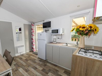 mobil-home - Paradis - La Pomme De Pin photo 3