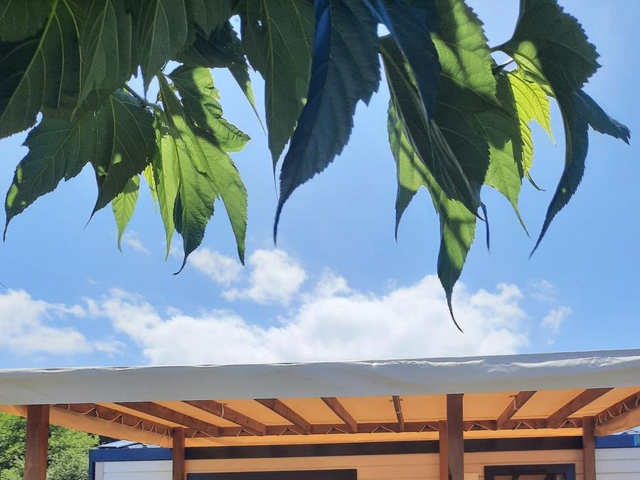 Camping Pas Cher vous présente avec son site Officiel campingpascher.fr, le Camping Océano D'Or classé 5 étoiles, situé sur la commune de Jard Sur Mer dans le département Vendée (Pays De La Loire) en France. Le camping Océano D'Or, vous présente un hébergement de type mobil-home de 16 m² et télévision. Le camping Océano D'Or vous propose du dimanche 27 septembre au dimanche 04 octobre 2026 pour 7 nuits à 281.5€. Cette location propose 2 dates différentes pour réserver votre séjour. Découvrez également les 7 autres gammes d'hébergements du camping. Les Avis clients pour le Camping Océano D'Or sont excellents avec une note moyenne de 8 sur 10. Parc aquatique, Piscine couverte, Piscine extérieure, Animations familiales, Club enfants, Aire de jeux enfants, Centre équestre, Court de tennis, Cyclisme, Ping-pong, Pétanque, Salle de fitness, Salle de jeux vidéo, Terrain multisports, Bar, Dépôt de pain, Plats à emporter, Restaurant, Snack/Bar, Épicerie,... En savoir plus : cliquez-ICI.