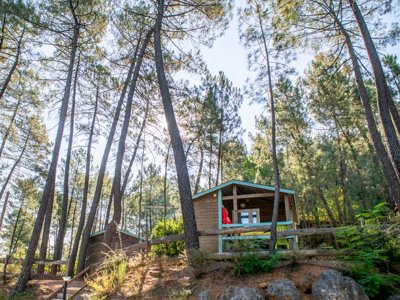 Cliquez pour découvrir toutes les photos de l'HÉBERGEMENT ! chalet - Paradis - Bois Simonet photo 3