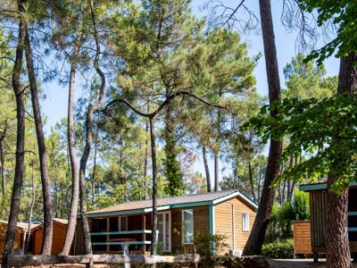 Cliquez pour découvrir toutes les photos de l'HÉBERGEMENT ! chalet - Paradis - Bois Simonet photo 2