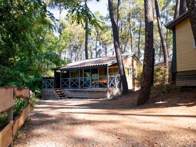 Cliquez pour découvrir toutes les photos de l'HÉBERGEMENT ! chalet - Paradis - Bois Simonet photo 2