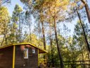 Cliquez pour découvrir toutes les photos de l'HÉBERGEMENT ! chalet - camping Paradis - Bois Simonet photo 3