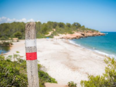 établissement Ametlla photo 30