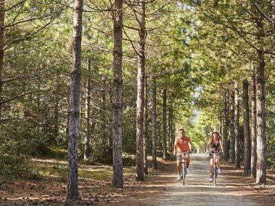établissement Le Marais Neuf photo 24