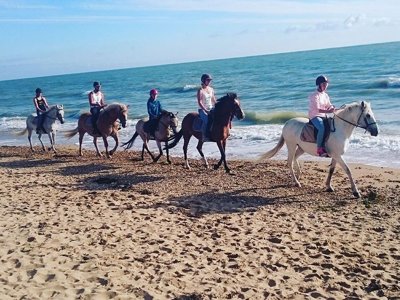 établissement Le Marais Neuf photo 28