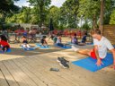 Cliquez pour découvrir toutes les photos de l'ÉTABLISSEMENT ! camping Les Ajoncs D'Or photo 11