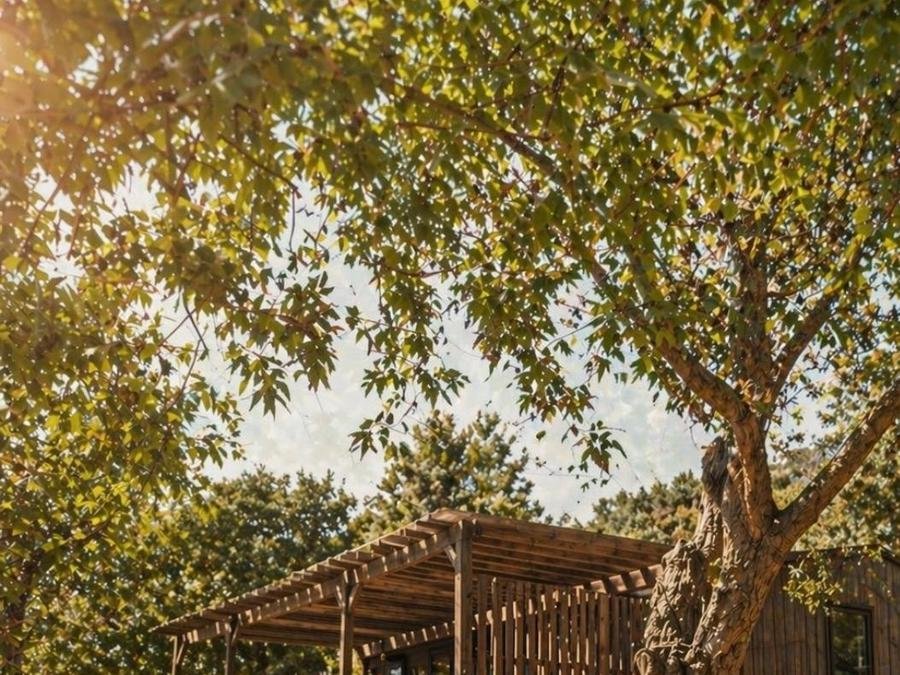Camping Pas Cher vous présente avec son site Officiel campingpascher.fr, le Camping Le Parc Des Chênes classé 3 étoiles, situé sur la commune de La Croix Valmer dans le département Var (Provence Alpes Côte D'azur) en France. Le camping Le Parc Des Chênes, vous présente un hébergement de type lodge de 33 m² pour 6 personnes avec climatisation et télévision. Le camping Le Parc Des Chênes vous propose du jeudi 04 juin au jeudi 11 juin 2026 avec une PROMO de DERNIÈRE MINUTE, en promotion à -15% pour 7 nuits à 742,05 € au lieu de 873,0 € soit une Économie de 130,95 €. Cette location propose 61 dates différentes pour réserver votre séjour. Découvrez également les 7 autres gammes d'hébergements du camping. Les Avis clients pour le Camping Le Parc Des Chênes sont excellents avec une note moyenne de 8 sur 10. Mer, Piscine chauffée, Piscine extérieure, Aire de jeux enfants, Ping-pong, Pétanque, Salle de fitness, Voile, Bar, Boulangerie, Plats à emporter, Restaurant, Station-service, Épicerie,... En savoir plus : cliquez-ICI.