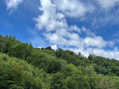 Cliquez pour découvrir toutes les photos de l'ÉTABLISSEMENT ! camping La Roche photo 6