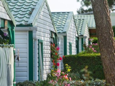 Cliquez pour découvrir toutes les photos de l'ÉTABLISSEMENT ! camping Les Violettes photo 23