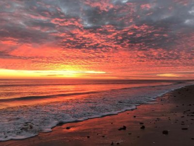 Cliquez pour découvrir toutes les photos de l'ÉTABLISSEMENT ! camping Les Violettes photo 25