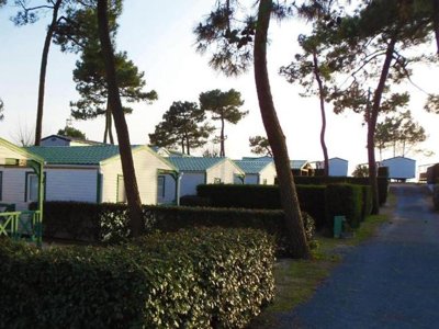 Cliquez pour découvrir toutes les photos de l'ÉTABLISSEMENT ! camping Les Violettes photo 28