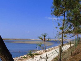 Camping Pas Cher vous présente avec son site Officiel campingpascher.fr, le Camping Les Violettes classé 4 étoiles, situé sur la commune de La Faute Sur Mer dans le département Vendée (Pays De La Loire) en France. Le camping Les Violettes, vous présente un hébergement de type chalet de 35 m² et télévision. Le camping Les Violettes vous propose du lundi 25 mai au lundi 01 juin 2026, en promotion à -15% pour 7 nuits à 251,60 € au lieu de 296,0 € soit une Économie de 44,40 €. Cette location propose 116 dates différentes pour réserver votre séjour. Découvrez également les 11 autres gammes d'hébergements du camping. Les Avis clients pour le Camping Les Violettes sont excellents avec une note moyenne de 8 sur 10. Mer, Piscine couverte, Piscine extérieure, Animations familiales, Club enfants, Aire de jeux enfants, Baby-foot, Cyclisme, Ping-pong, Piscine, Pétanque, Ski nautique, Terrain multisports, Bar, Dépôt de pain, Plats à emporter, Snack/Bar, Épicerie,... En savoir plus : cliquez-ICI.